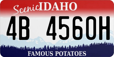 ID license plate 4B4560H
