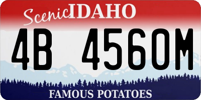 ID license plate 4B4560M