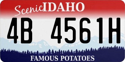 ID license plate 4B4561H