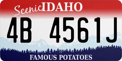 ID license plate 4B4561J
