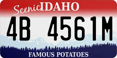 ID license plate 4B4561M