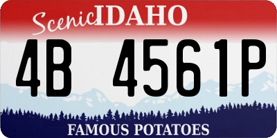 ID license plate 4B4561P