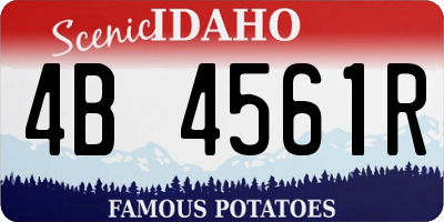 ID license plate 4B4561R