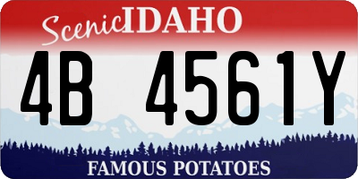 ID license plate 4B4561Y