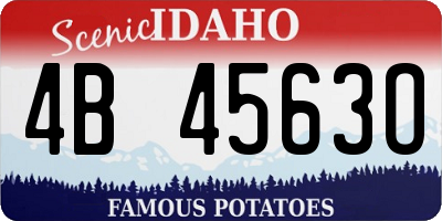 ID license plate 4B4563O