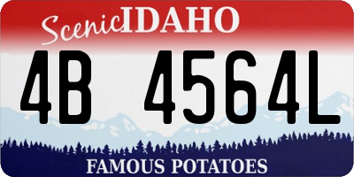 ID license plate 4B4564L