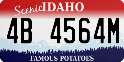 ID license plate 4B4564M