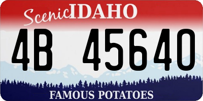 ID license plate 4B4564O
