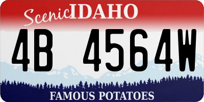 ID license plate 4B4564W