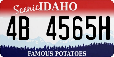 ID license plate 4B4565H