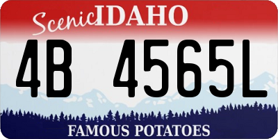 ID license plate 4B4565L