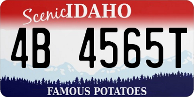 ID license plate 4B4565T