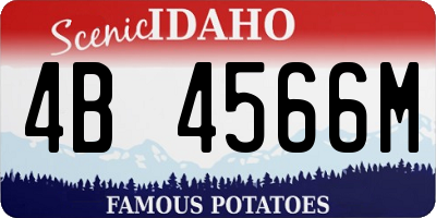 ID license plate 4B4566M