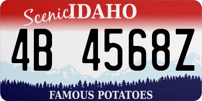 ID license plate 4B4568Z