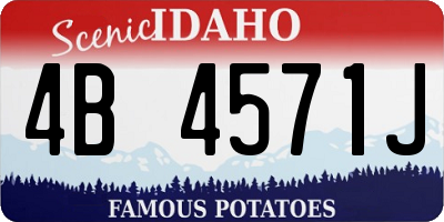 ID license plate 4B4571J