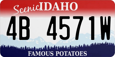 ID license plate 4B4571W