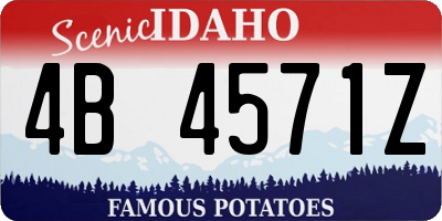 ID license plate 4B4571Z