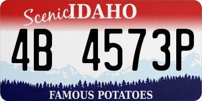 ID license plate 4B4573P
