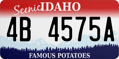 ID license plate 4B4575A