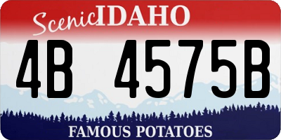 ID license plate 4B4575B