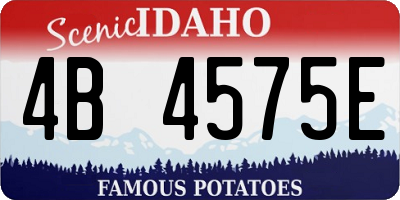 ID license plate 4B4575E