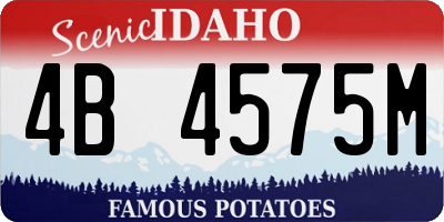 ID license plate 4B4575M