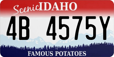 ID license plate 4B4575Y