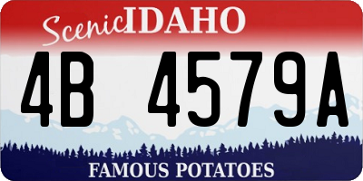 ID license plate 4B4579A