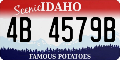 ID license plate 4B4579B
