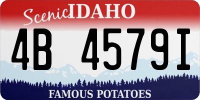ID license plate 4B4579I