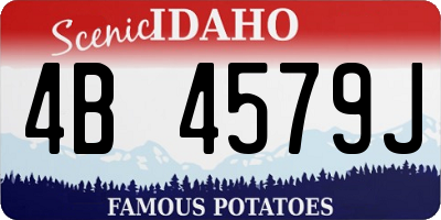 ID license plate 4B4579J