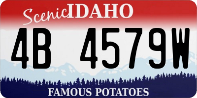 ID license plate 4B4579W