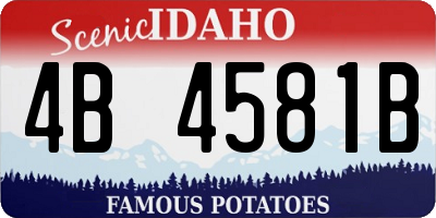 ID license plate 4B4581B
