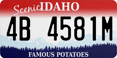 ID license plate 4B4581M