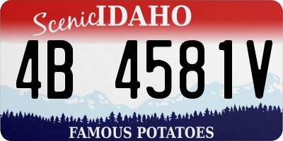 ID license plate 4B4581V
