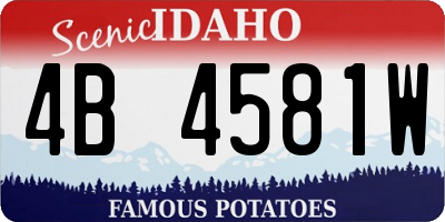 ID license plate 4B4581W