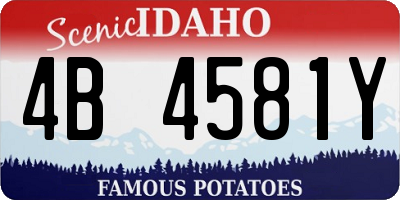ID license plate 4B4581Y