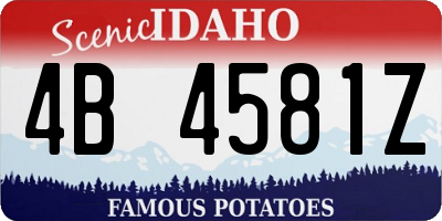 ID license plate 4B4581Z