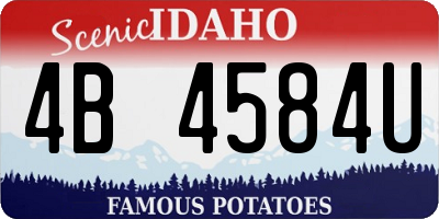 ID license plate 4B4584U