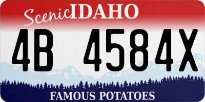 ID license plate 4B4584X