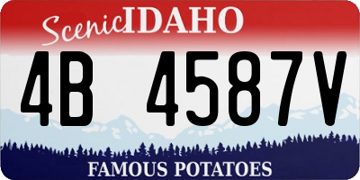 ID license plate 4B4587V