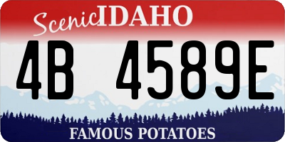 ID license plate 4B4589E