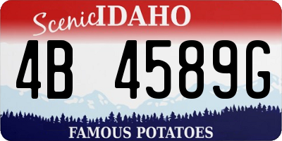 ID license plate 4B4589G