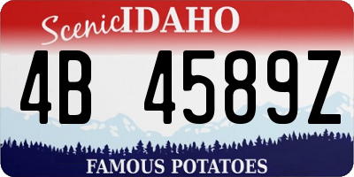 ID license plate 4B4589Z