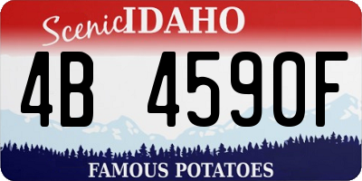 ID license plate 4B4590F