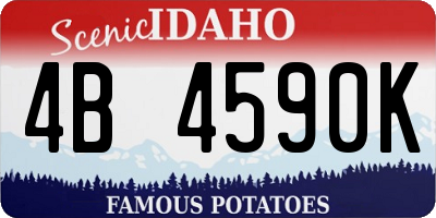 ID license plate 4B4590K