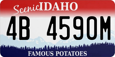 ID license plate 4B4590M