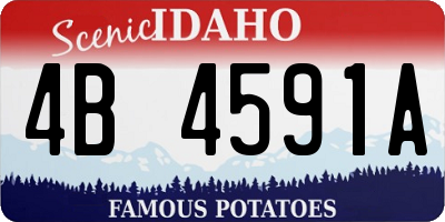 ID license plate 4B4591A