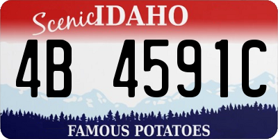 ID license plate 4B4591C