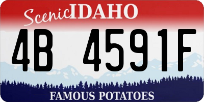 ID license plate 4B4591F